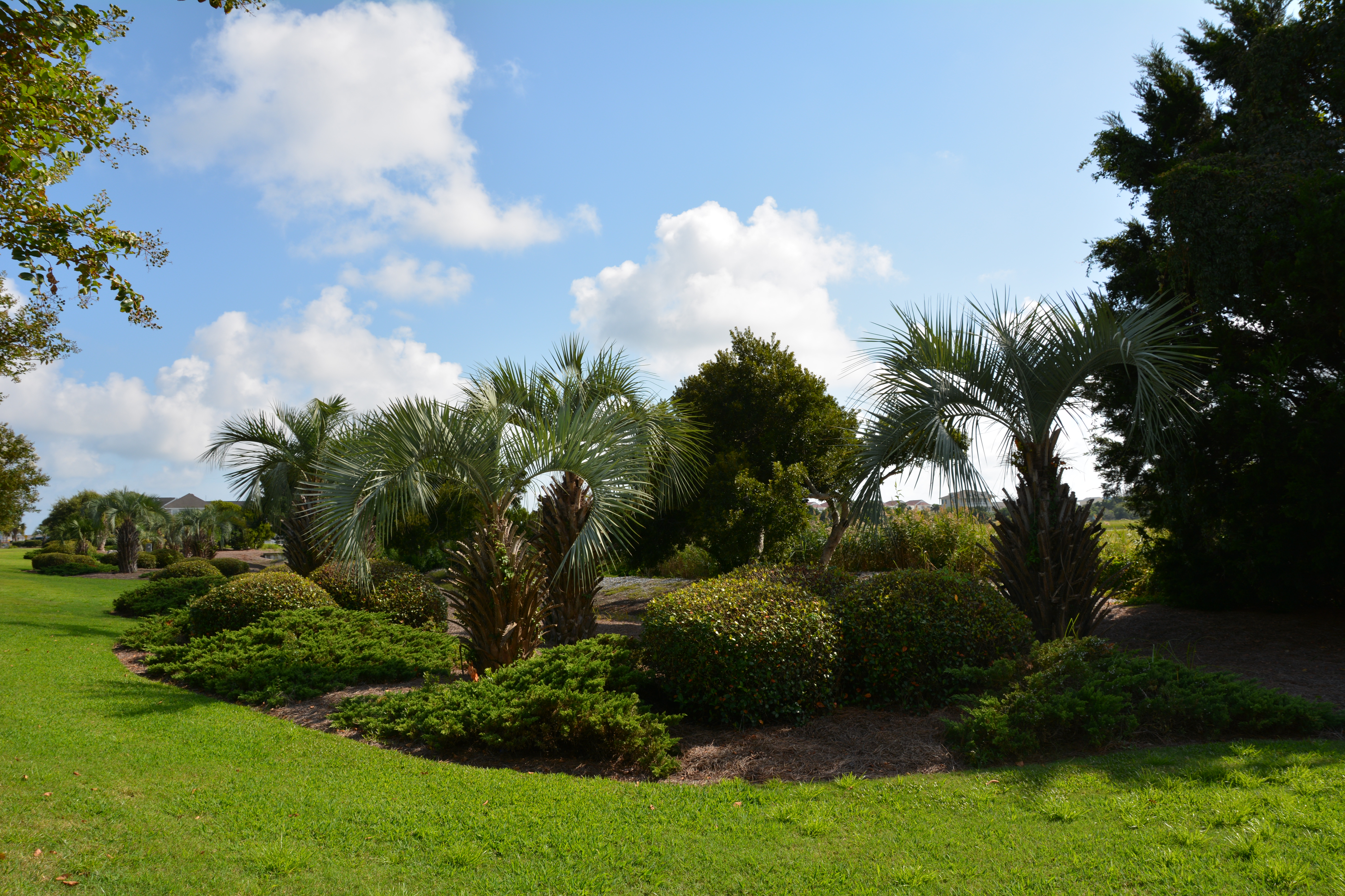 Ocean Isle Beach Cottage Homes